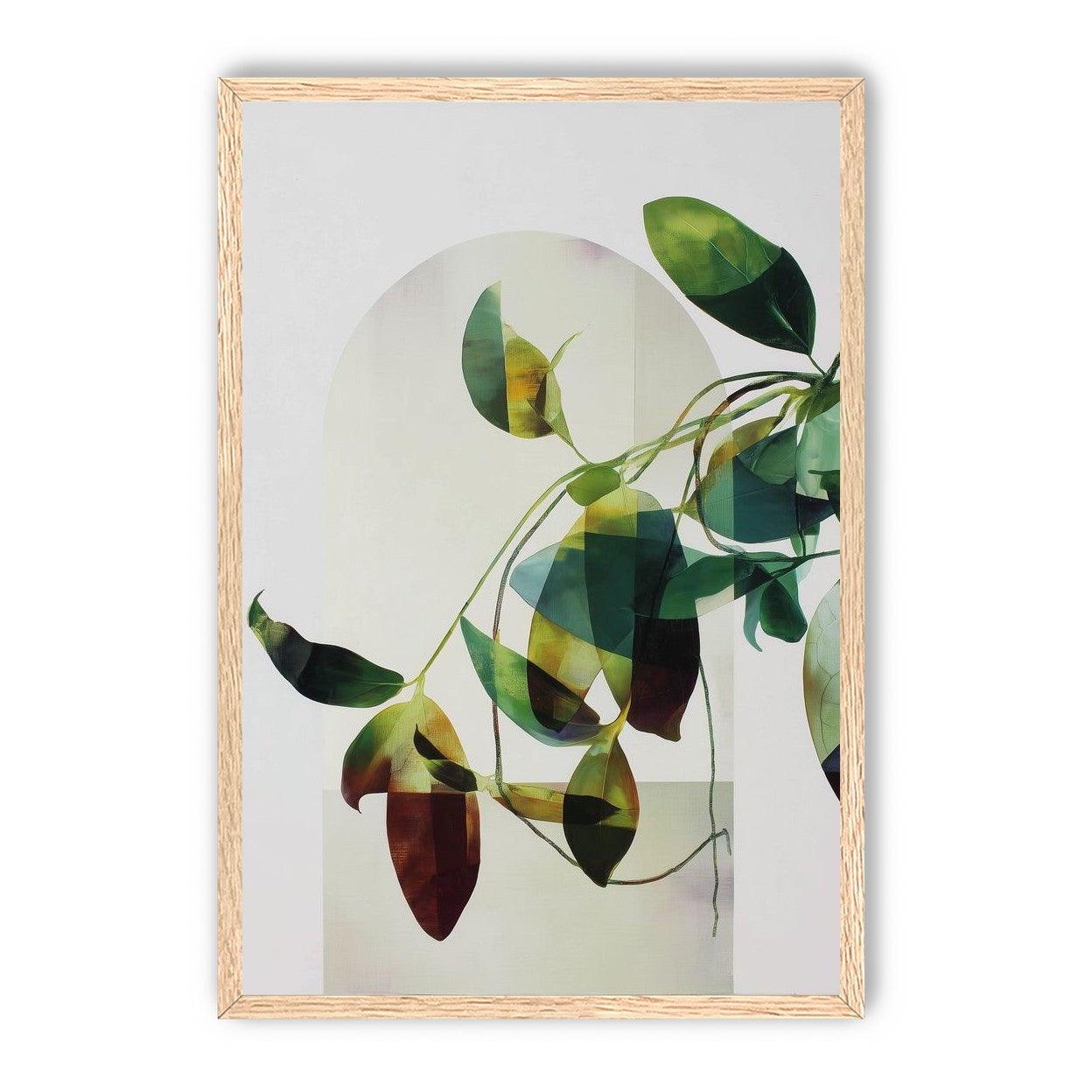 Leaves in a pale halo