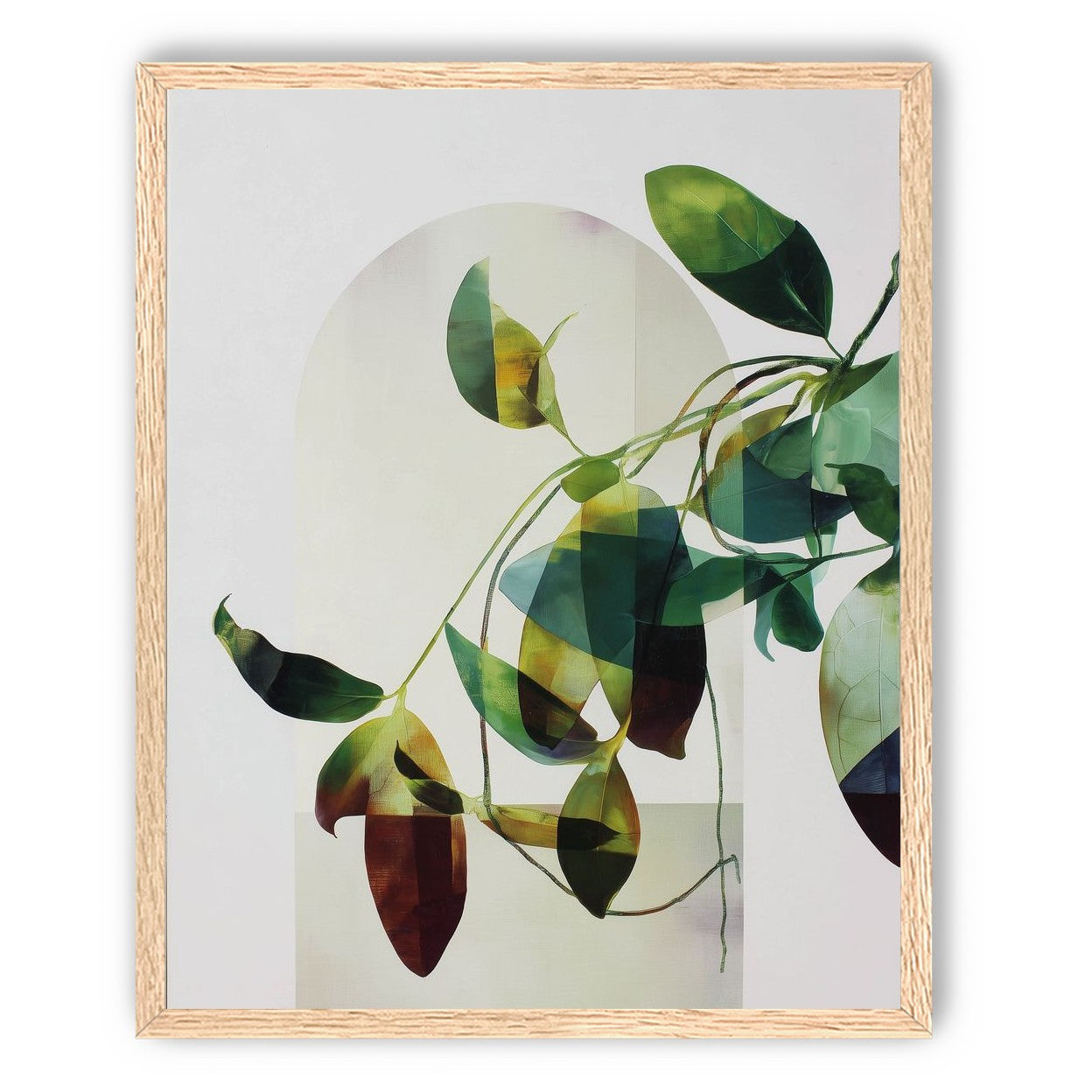 Leaves in a pale halo