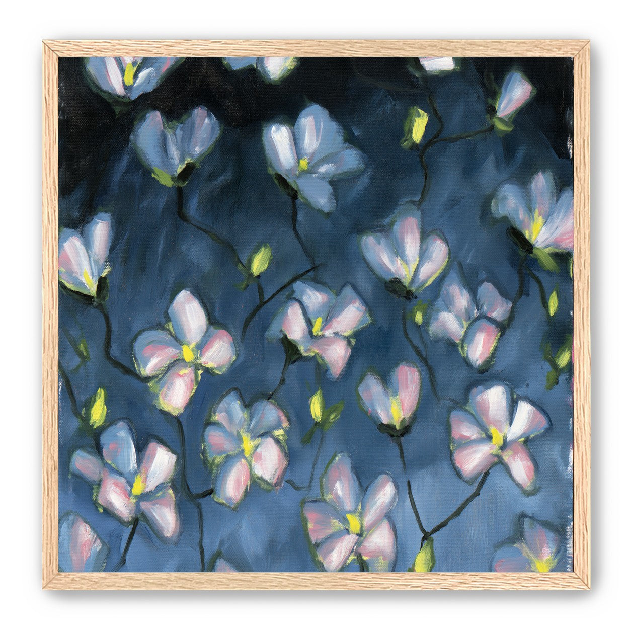 Soft blossoms in blue dusk