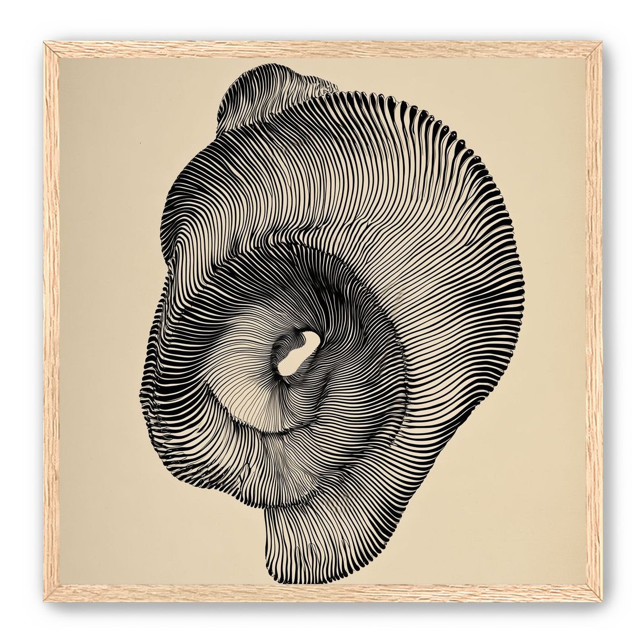 A hollow within black lines