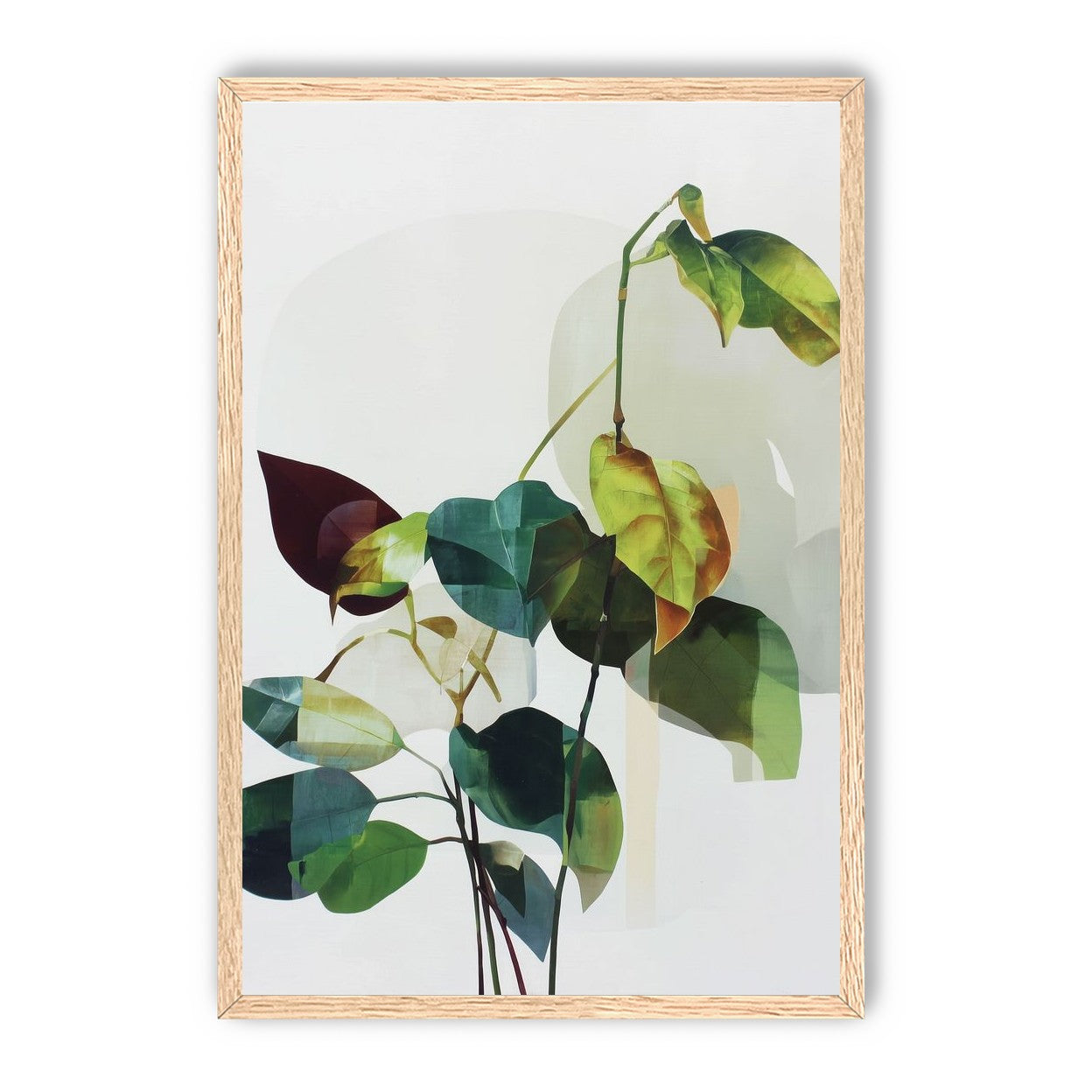 Leaves within pale shadows