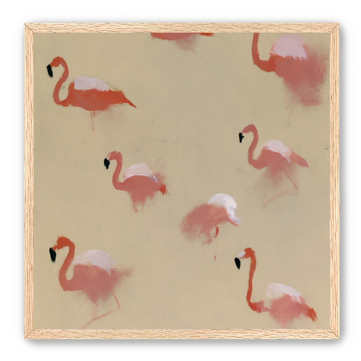 Flamingos in quiet drift