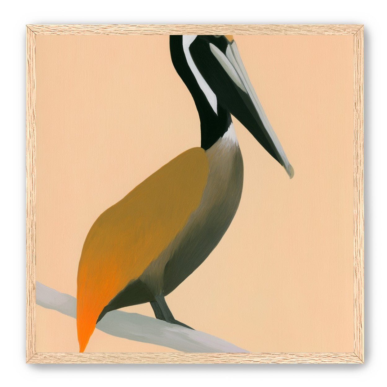Pelican in peach light