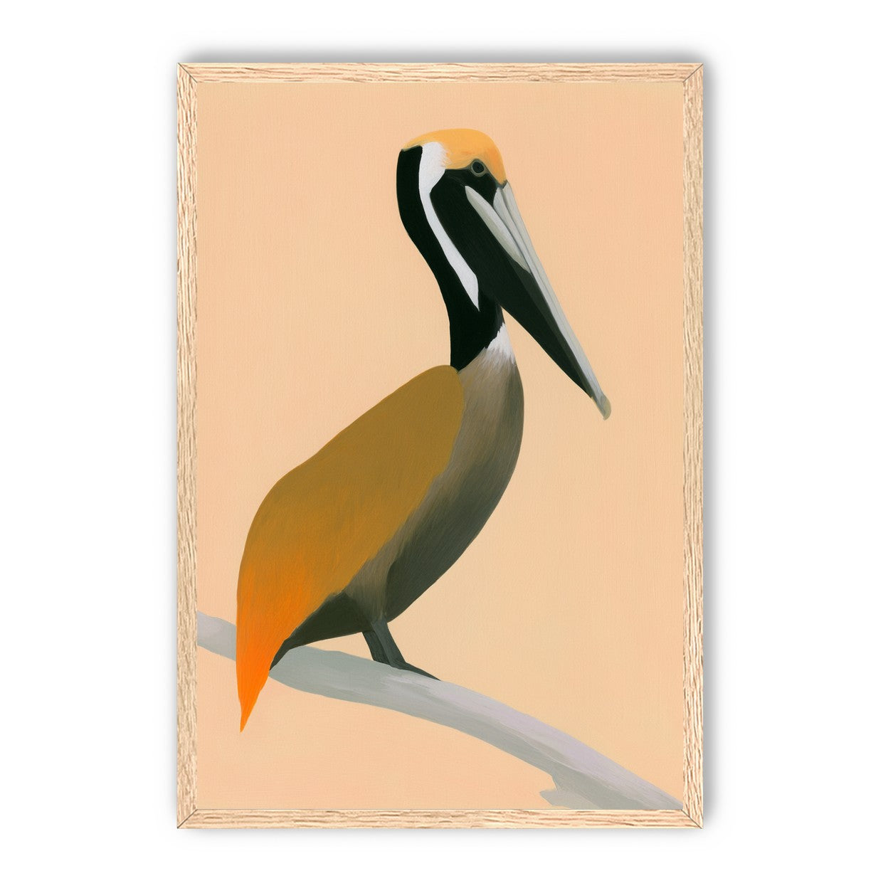 Pelican in peach light
