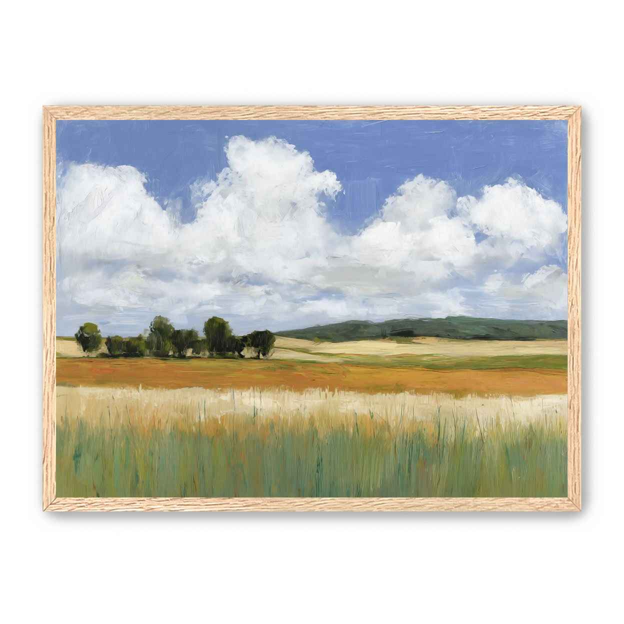 Meadow Under Clouds