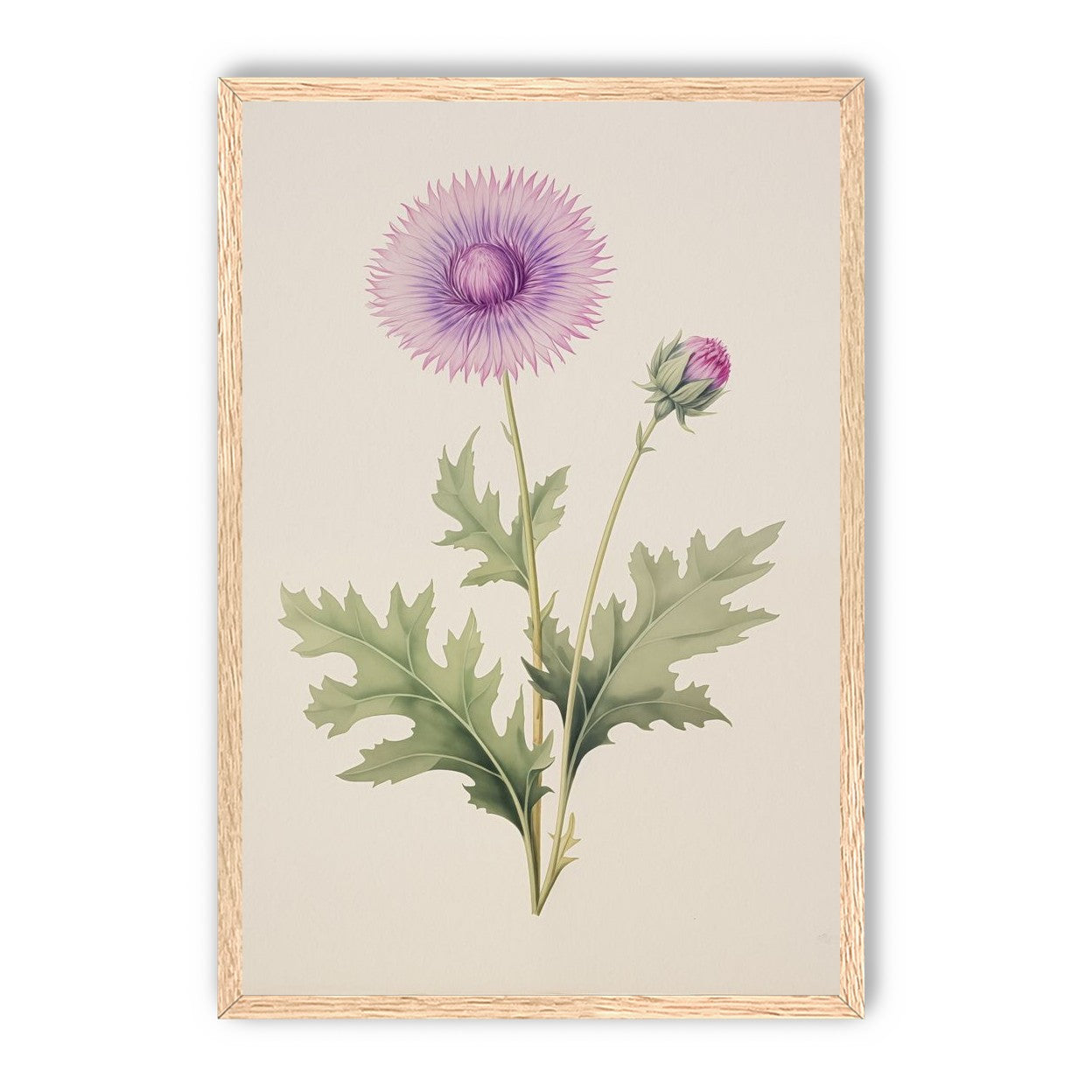 Lavender Radiance