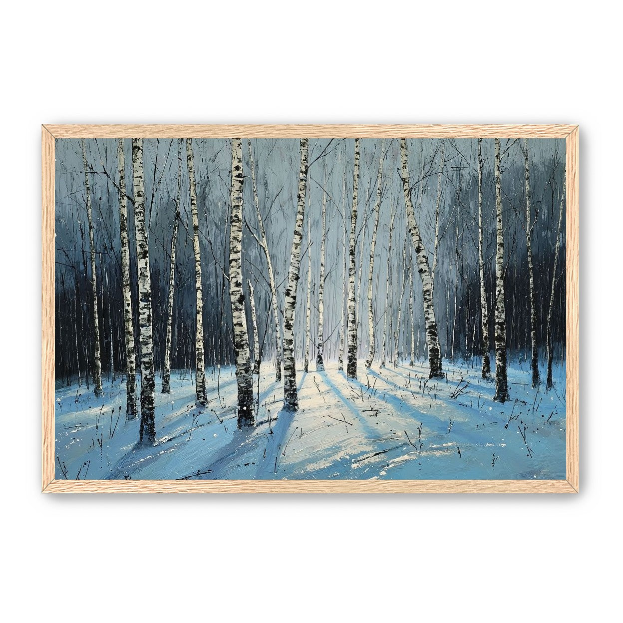 Birch Trees in Winter Light