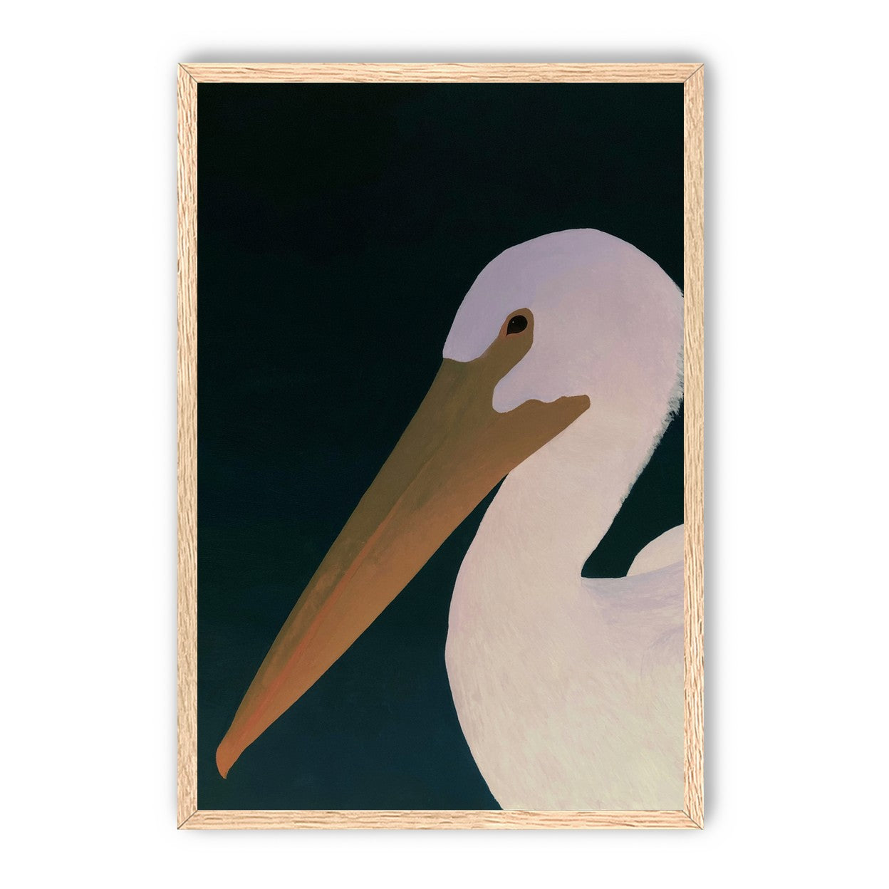 White pelican in stillness