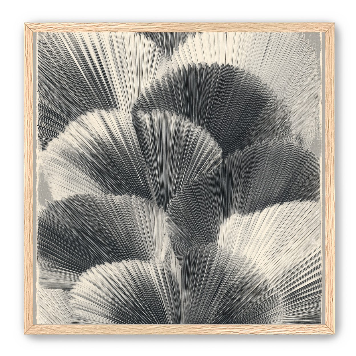 Ginkgo leaves in shadow