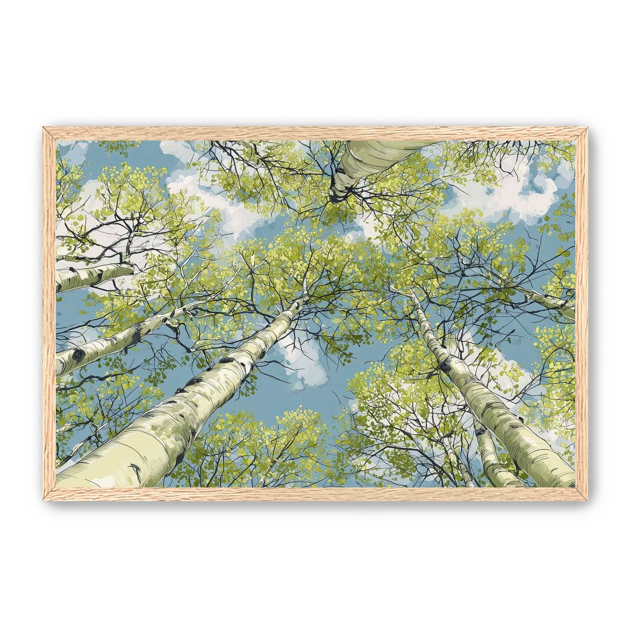 Aspen Canopy I