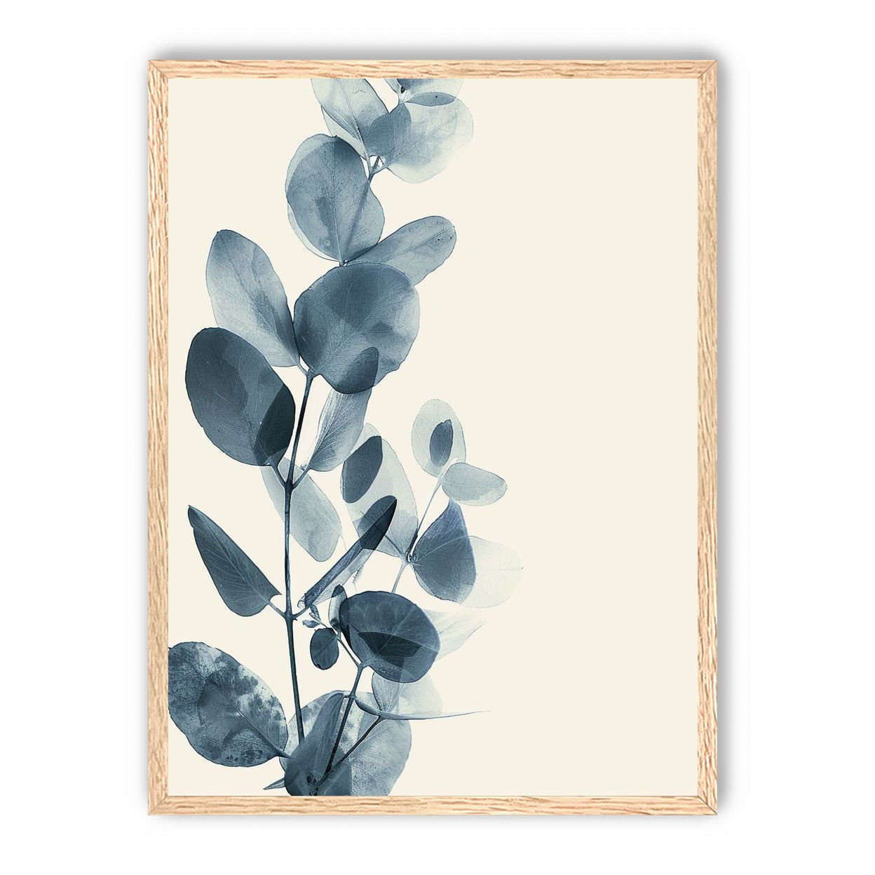 Eucalyptus in quiet blue