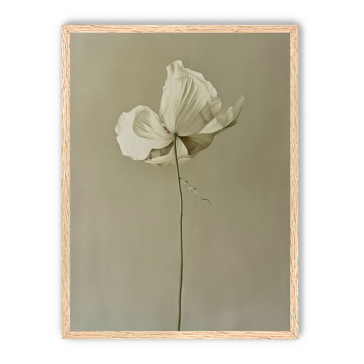 Ivory bloom in gray air