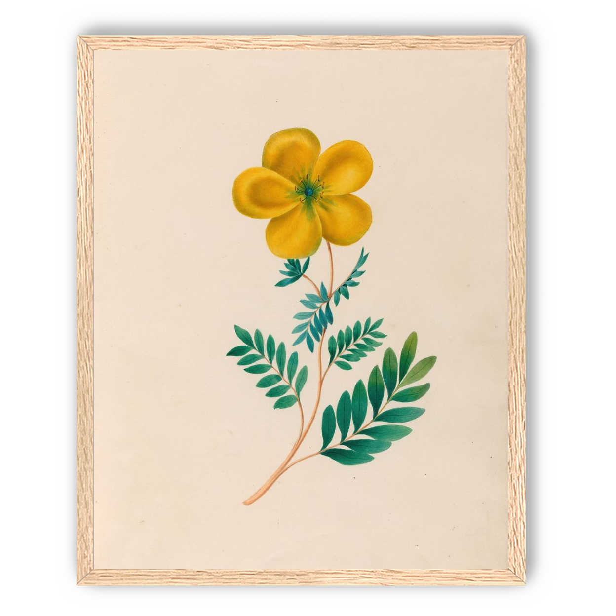 Yellow flower on pale paper