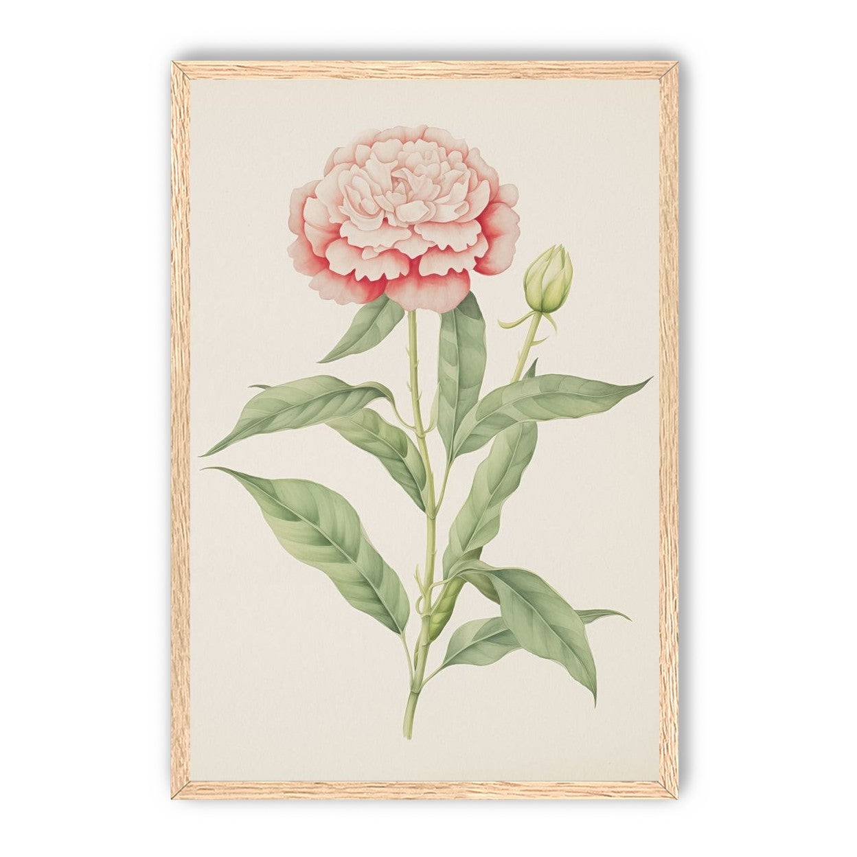 Delicate Blush