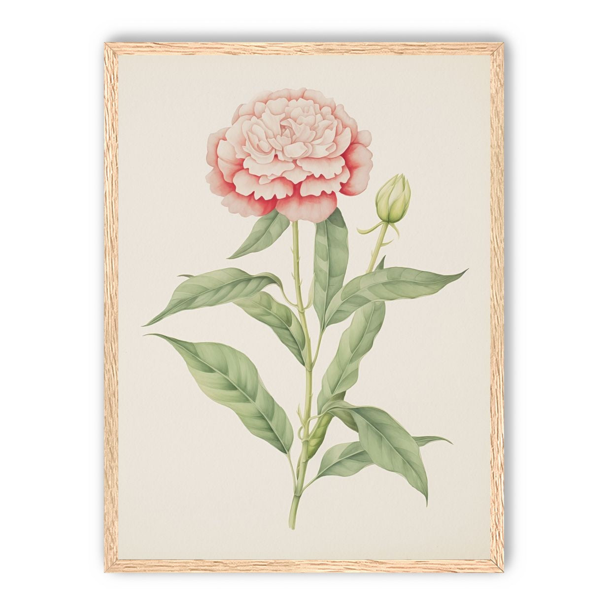 Delicate Blush