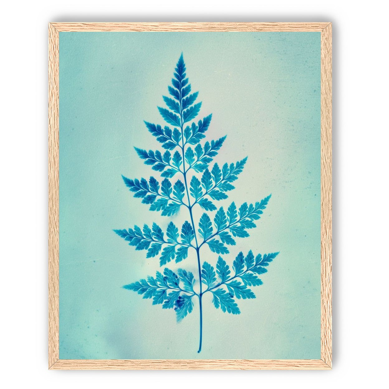 stems and leaves