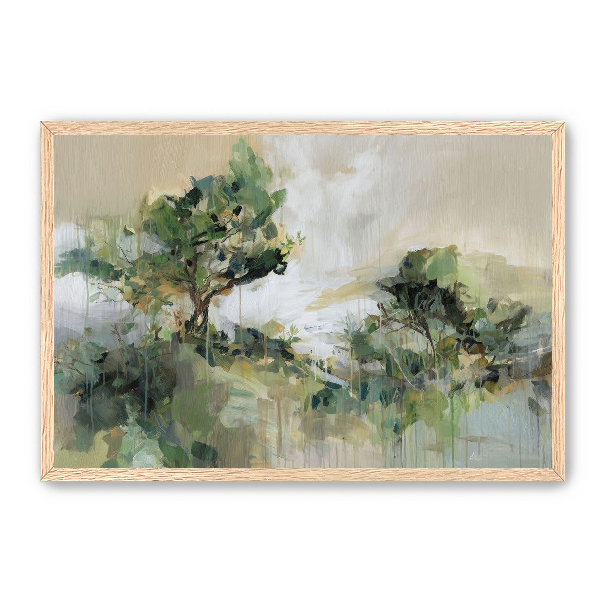 Tree Canopies in Pale Light