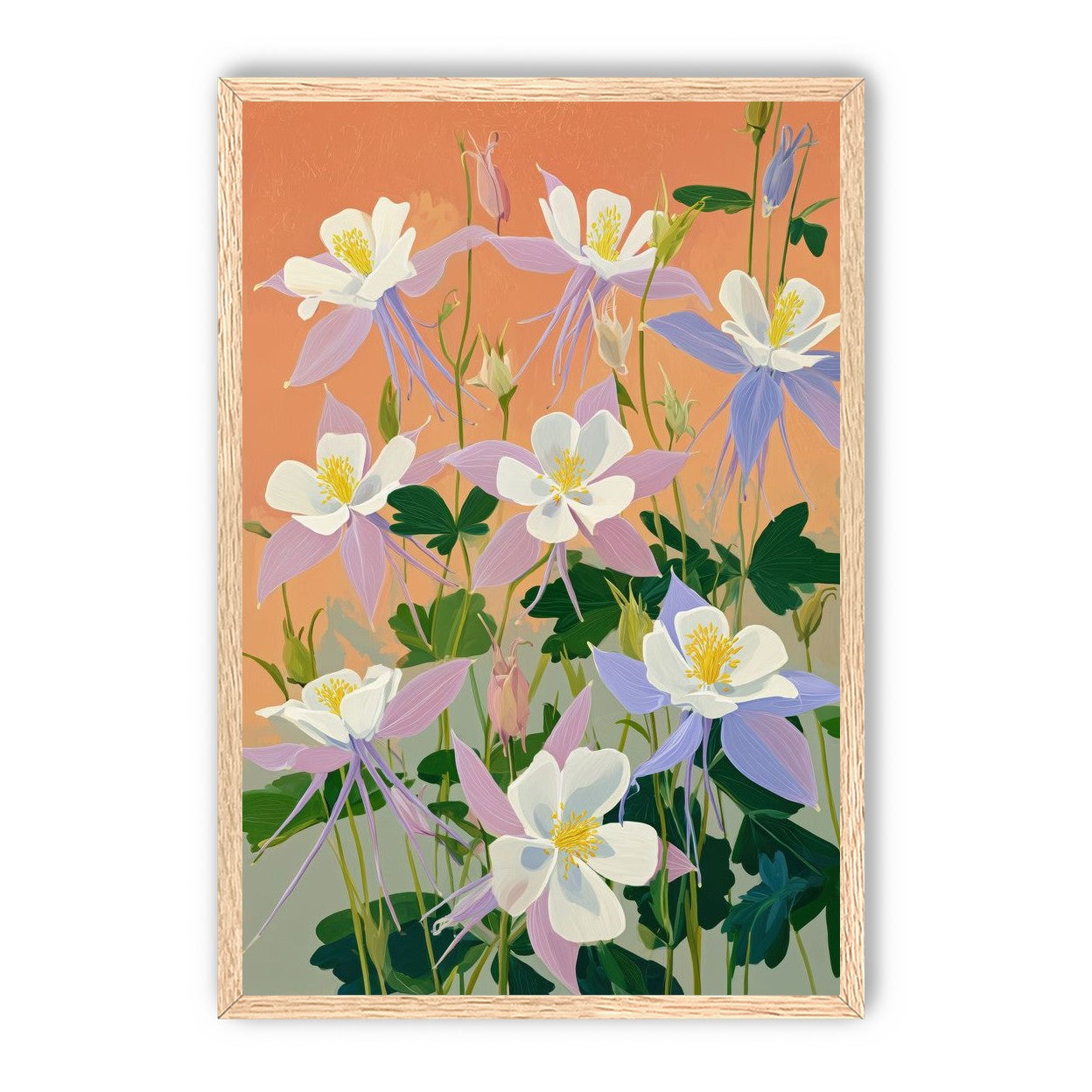 Columbines in Bloom