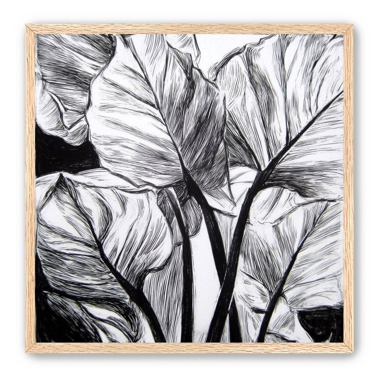 Overlapping Leaves on Dark Ground