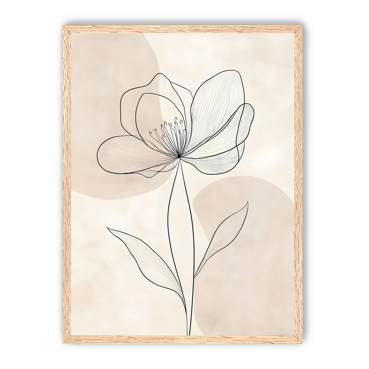 Single Bloom