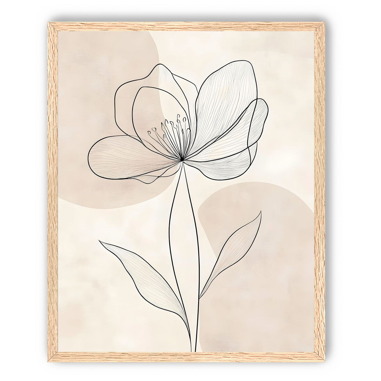 Single Bloom