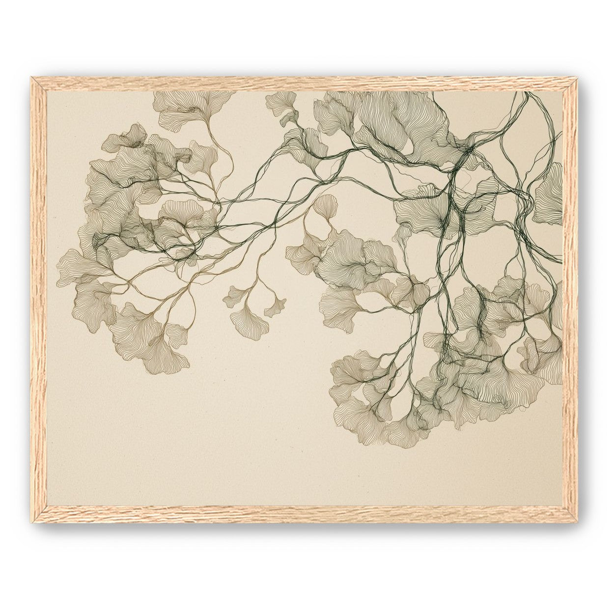Open Canopies in Ink