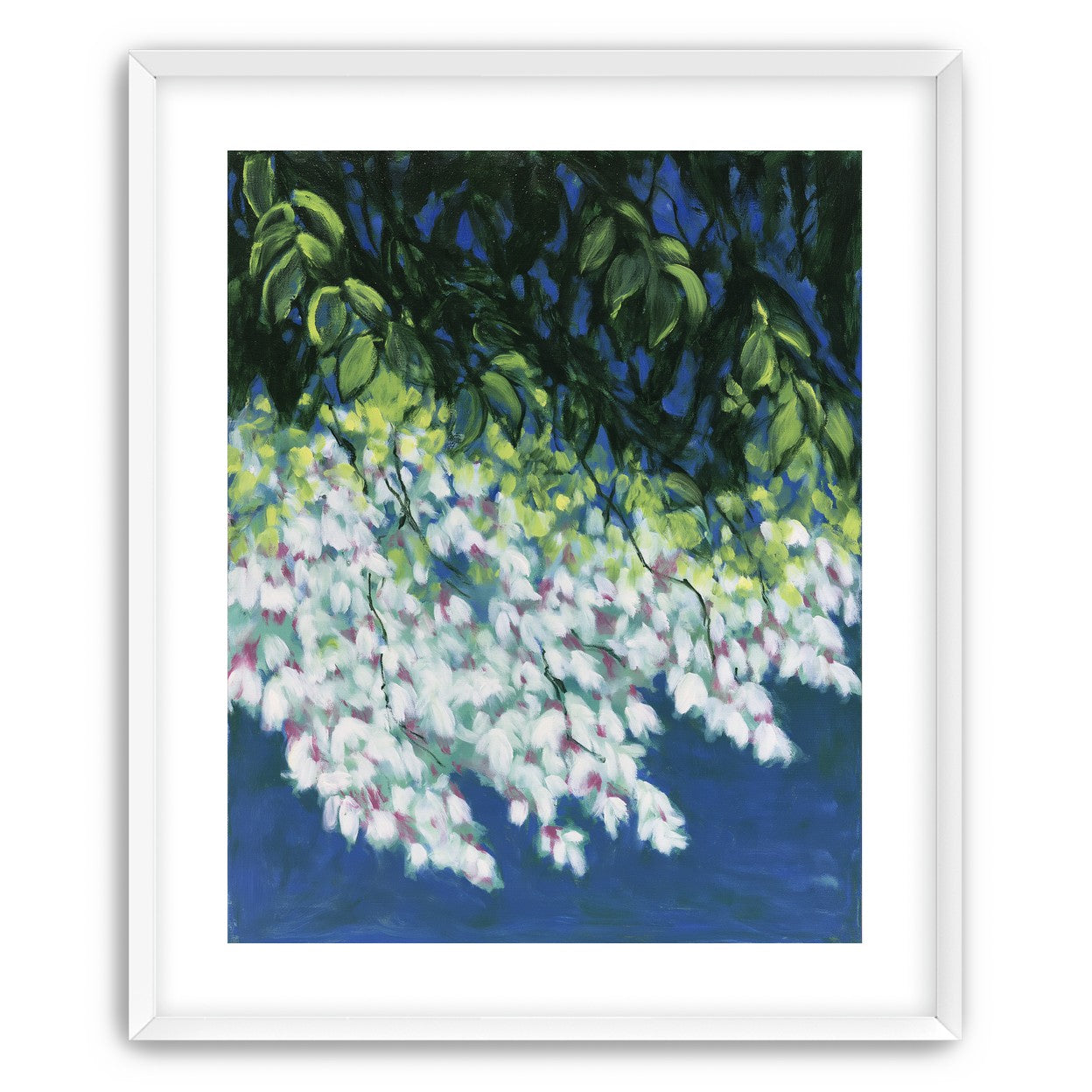 White blossoms in blue shade