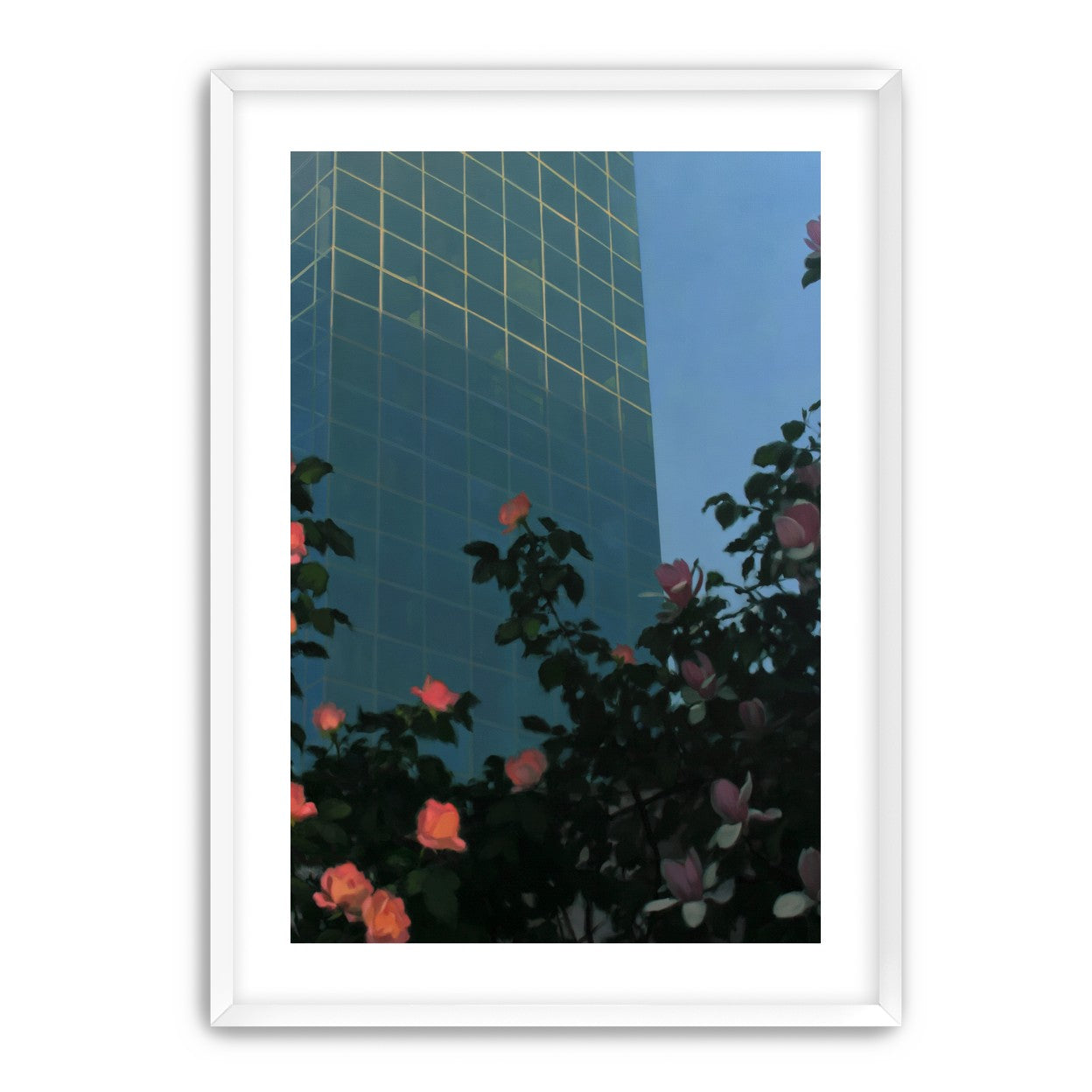 Roses beneath blue towers