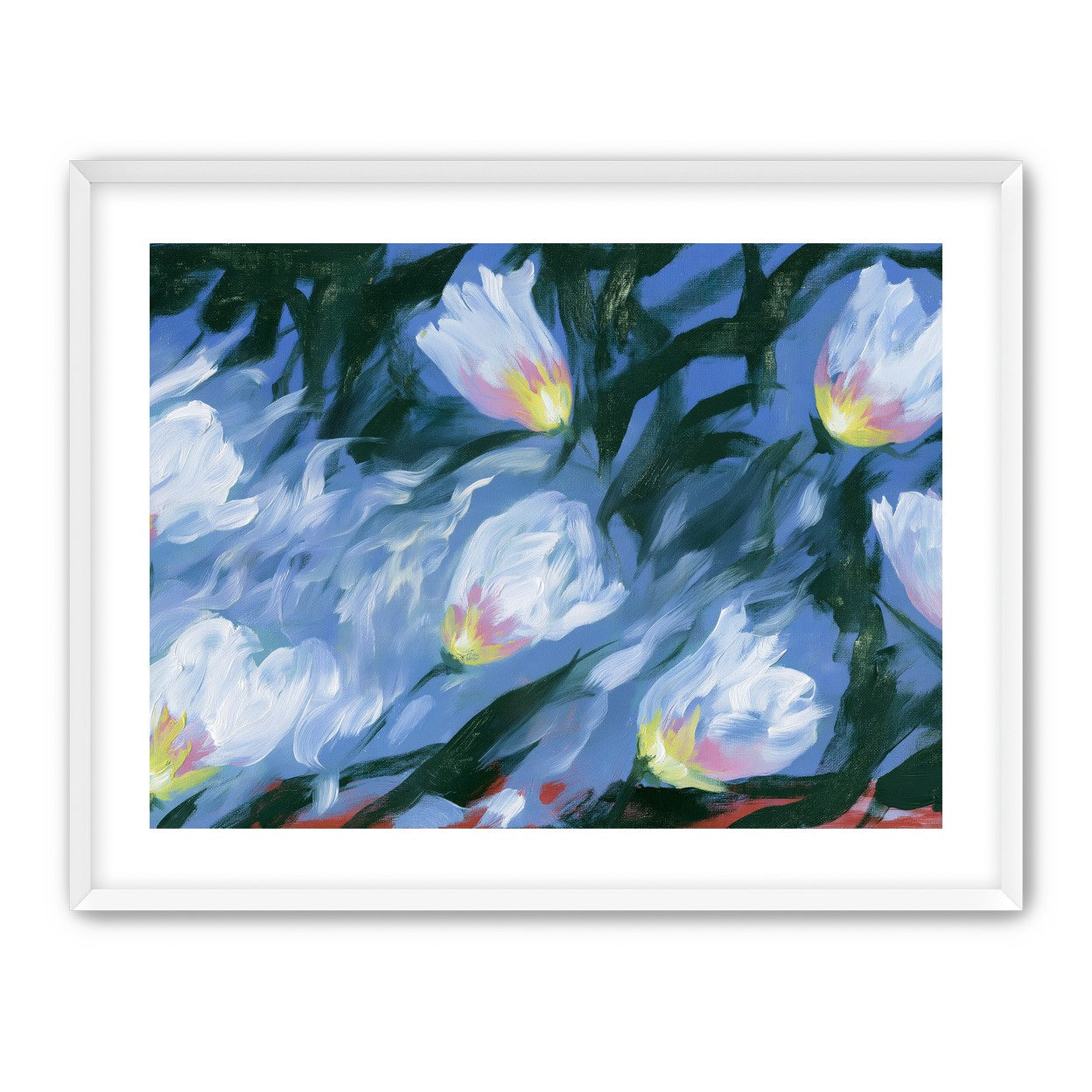 White tulips on blue ground