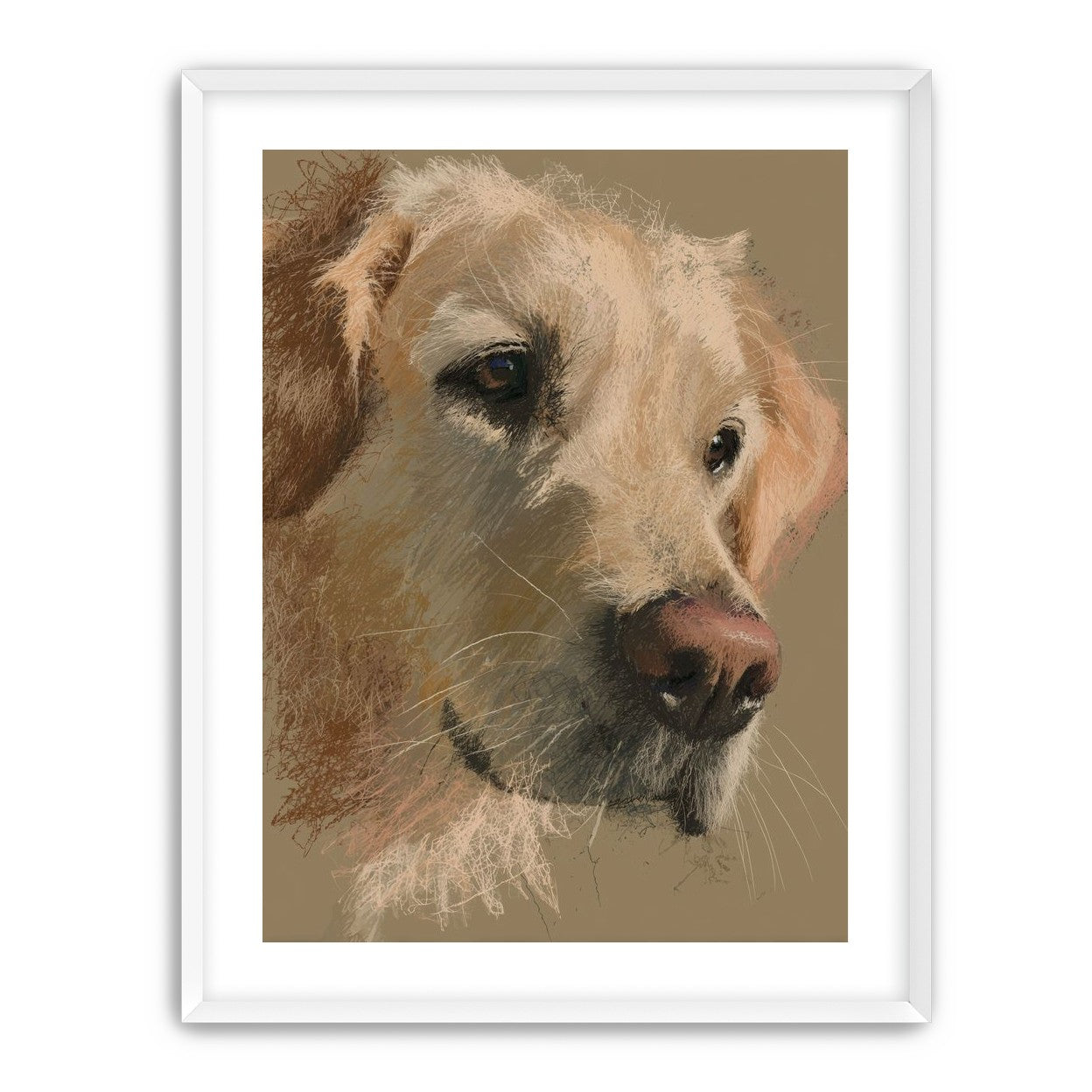 Warm fur in brown quietness
