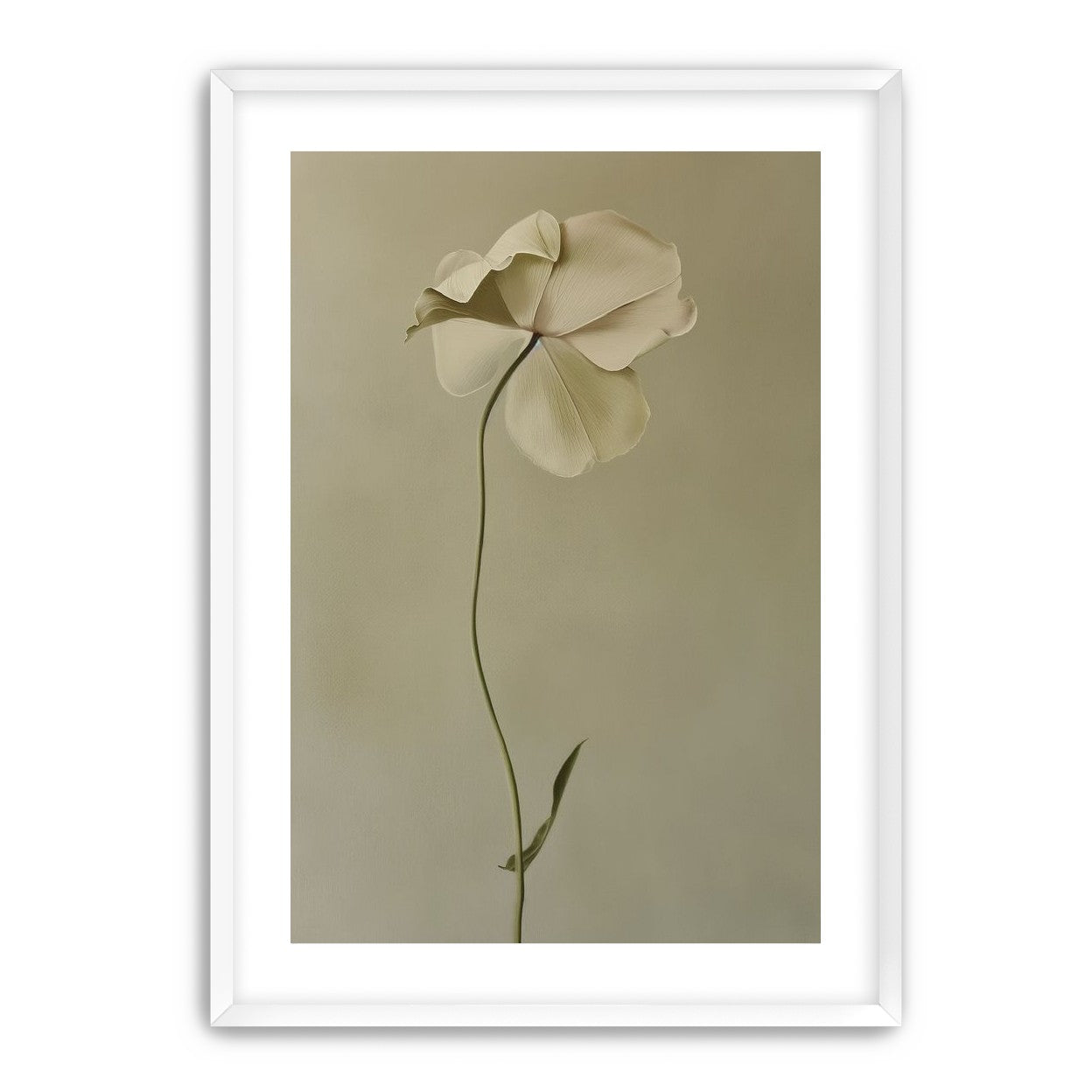 One flower leaning into quiet