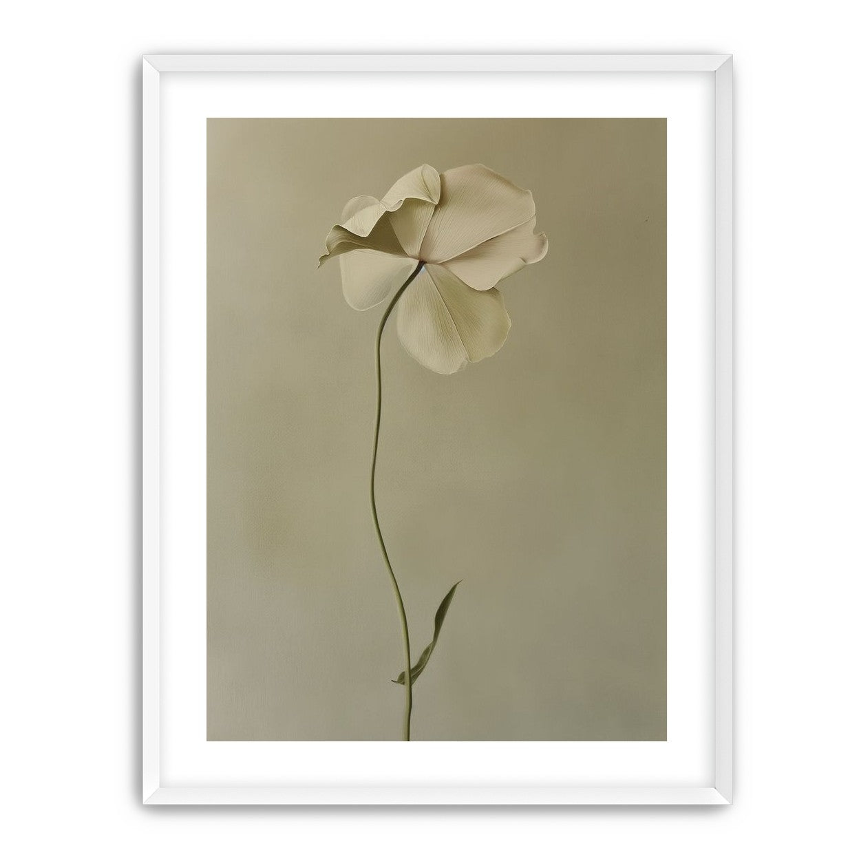 One flower leaning into quiet