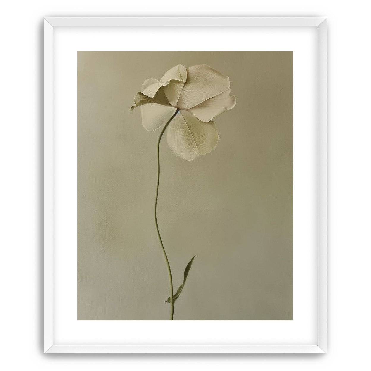 One flower leaning into quiet