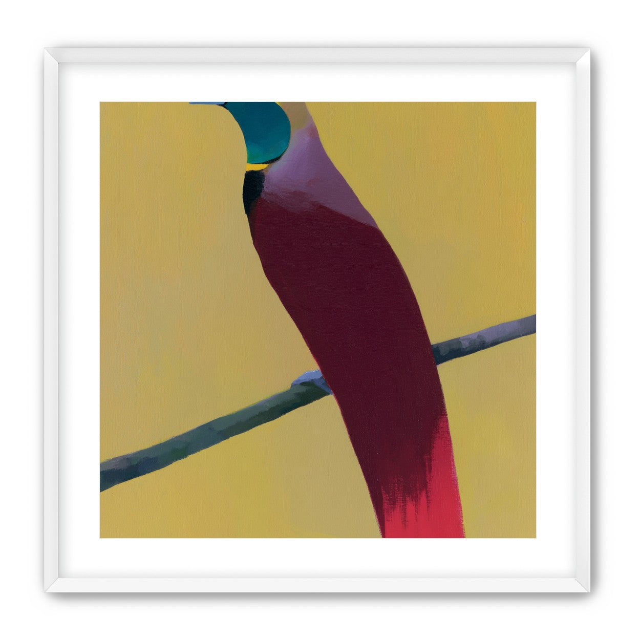 A bright bird on yellow