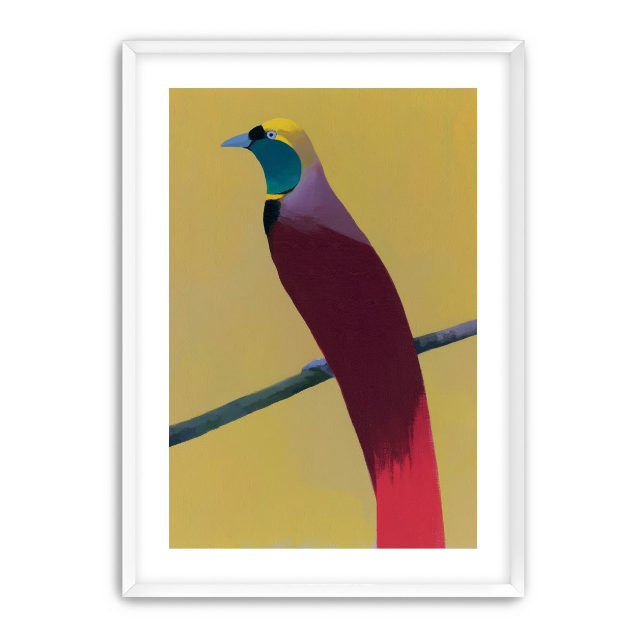 A bright bird on yellow