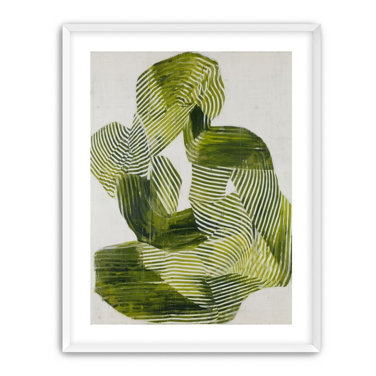 Olive stripes in repose