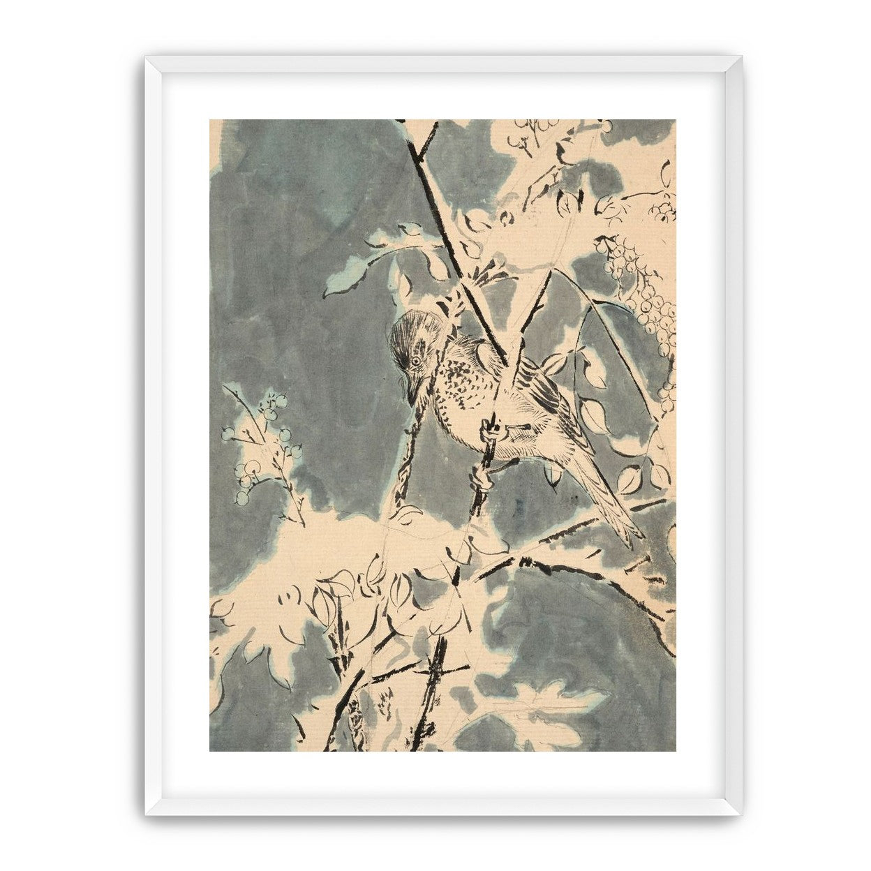 Quiet bird in berry branches