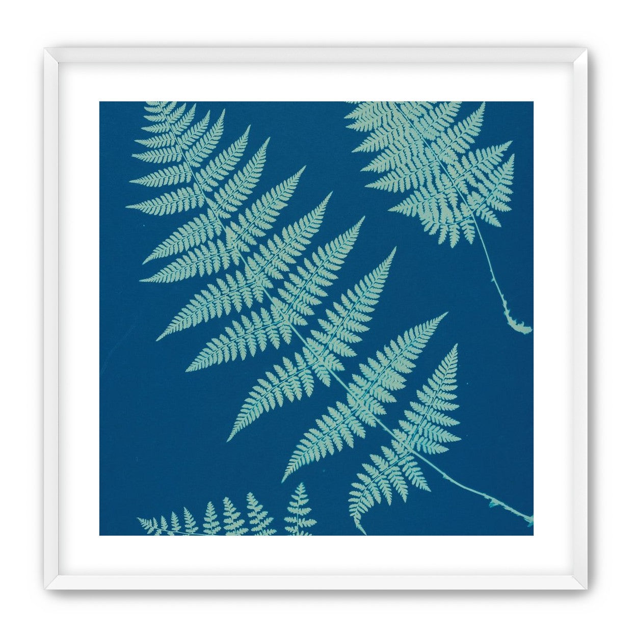 Pale ferns in deep blue