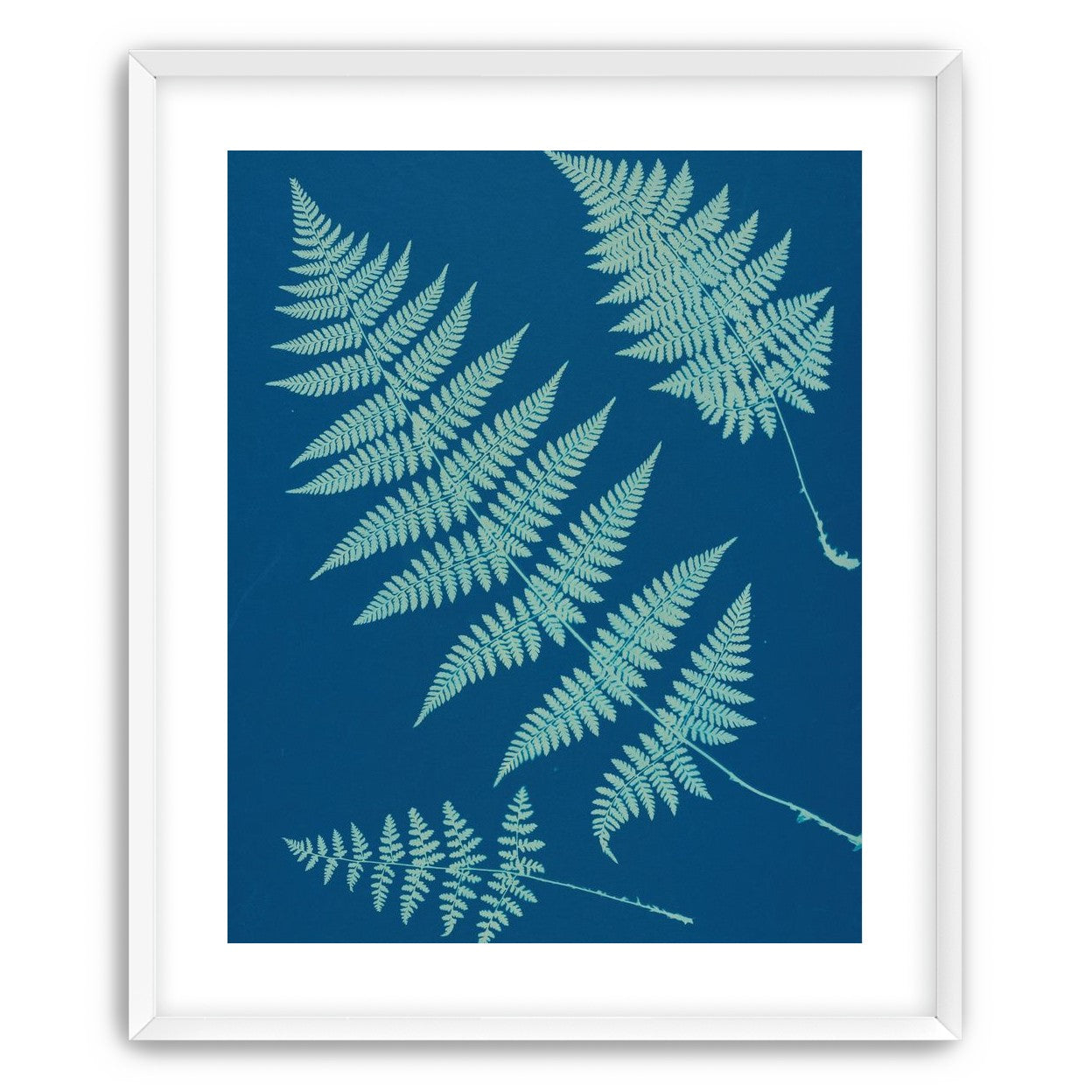 Pale ferns in deep blue