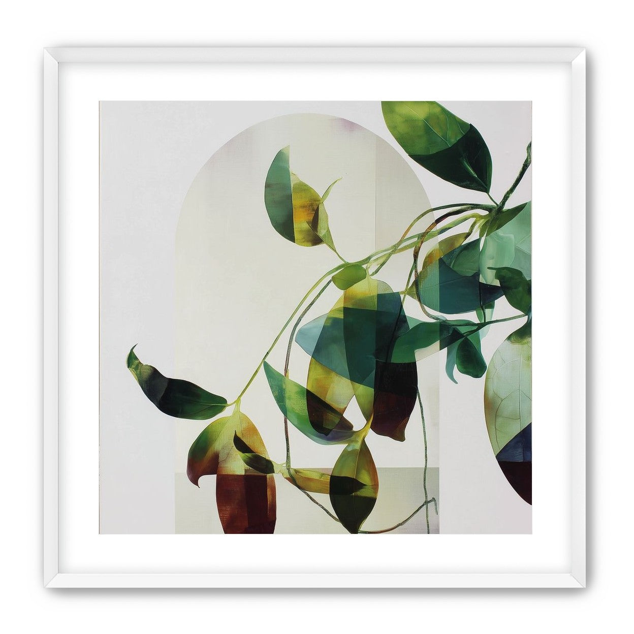 Leaves in a pale halo