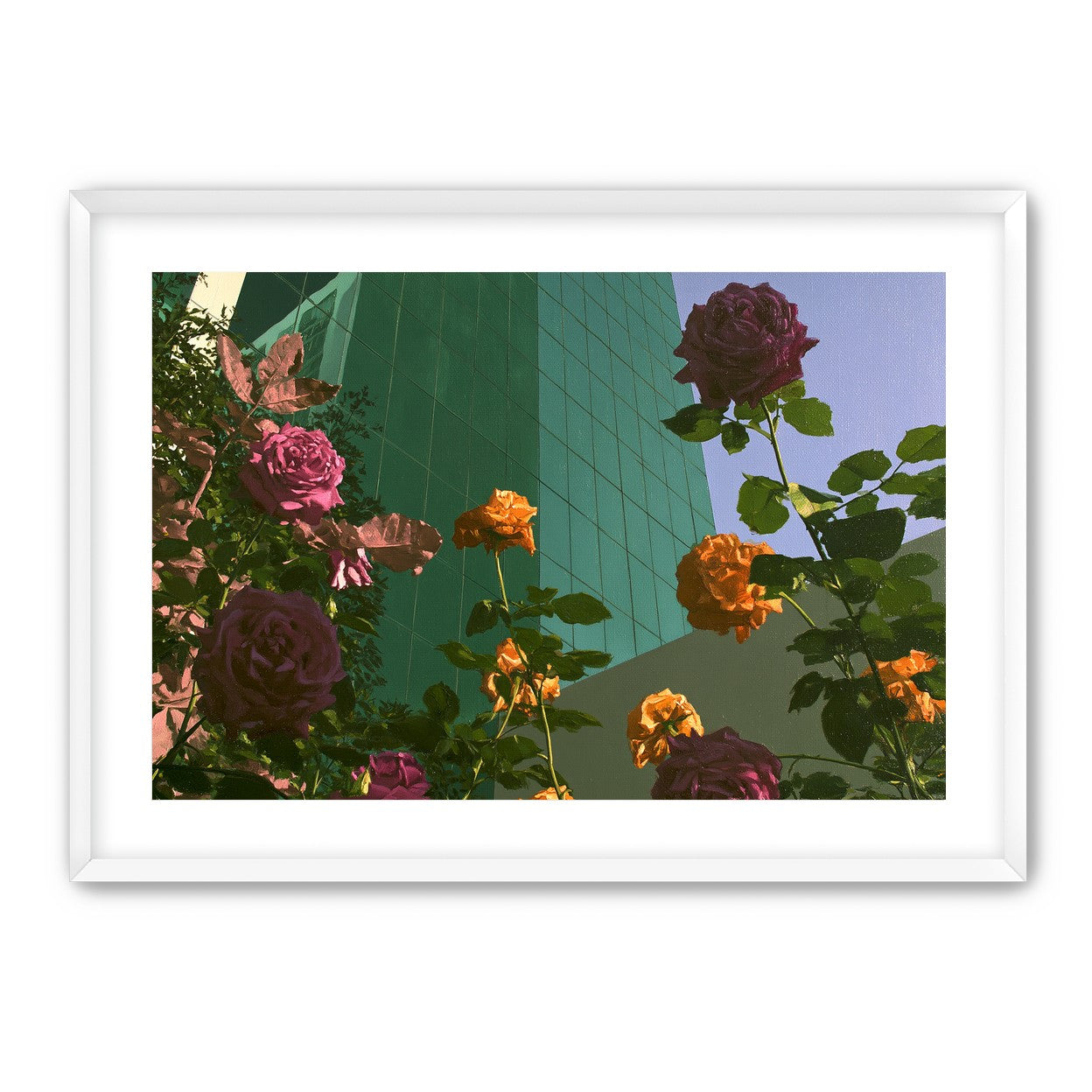Roses climbing the glass wall