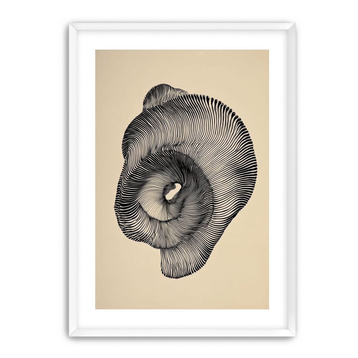 A hollow within black lines