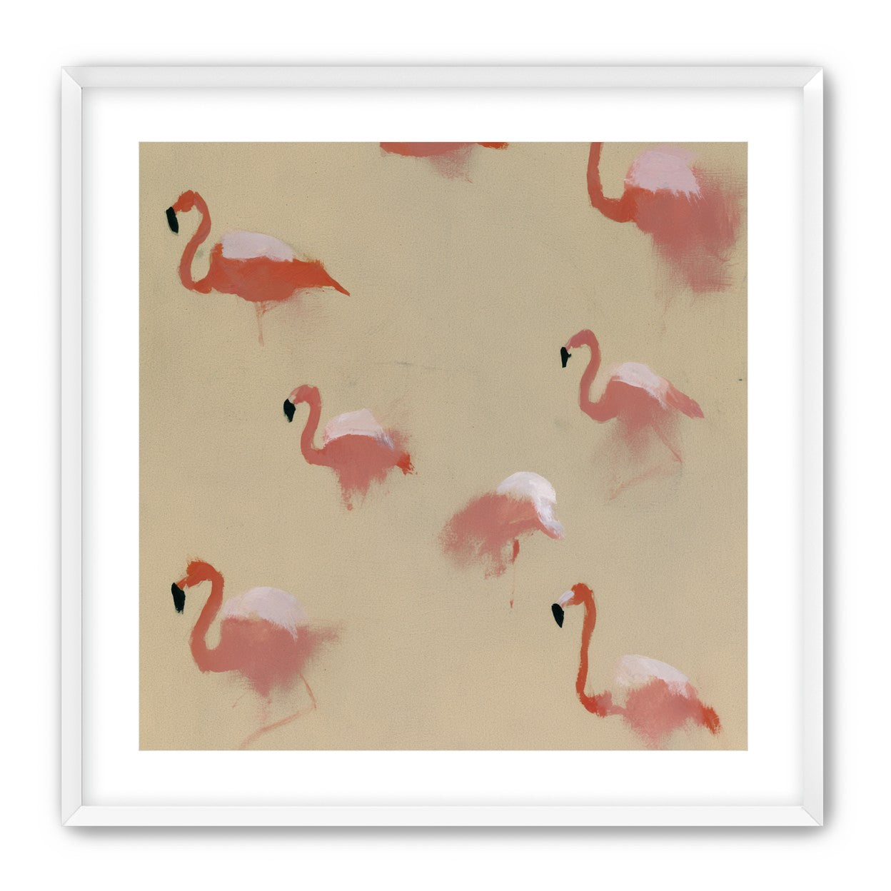 Flamingos in quiet drift