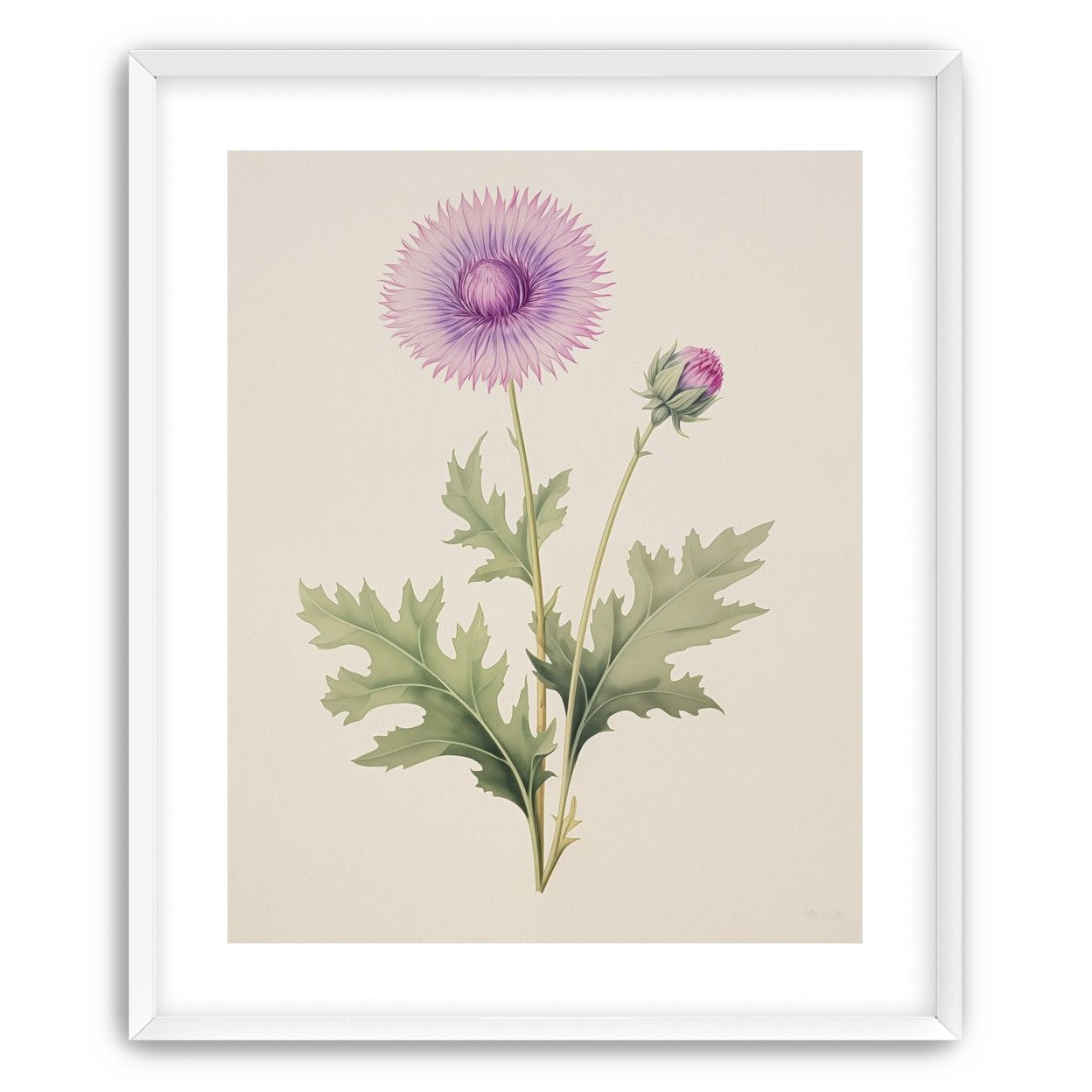 Lavender Radiance