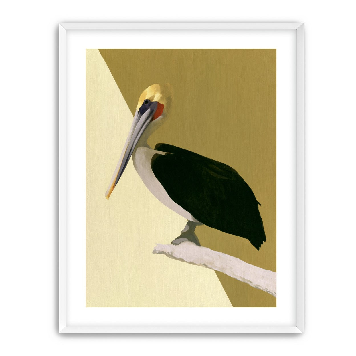 Pelican in quiet balance