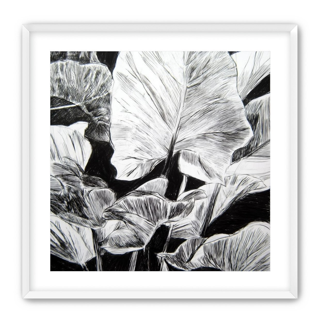 A Cluster of Leaves