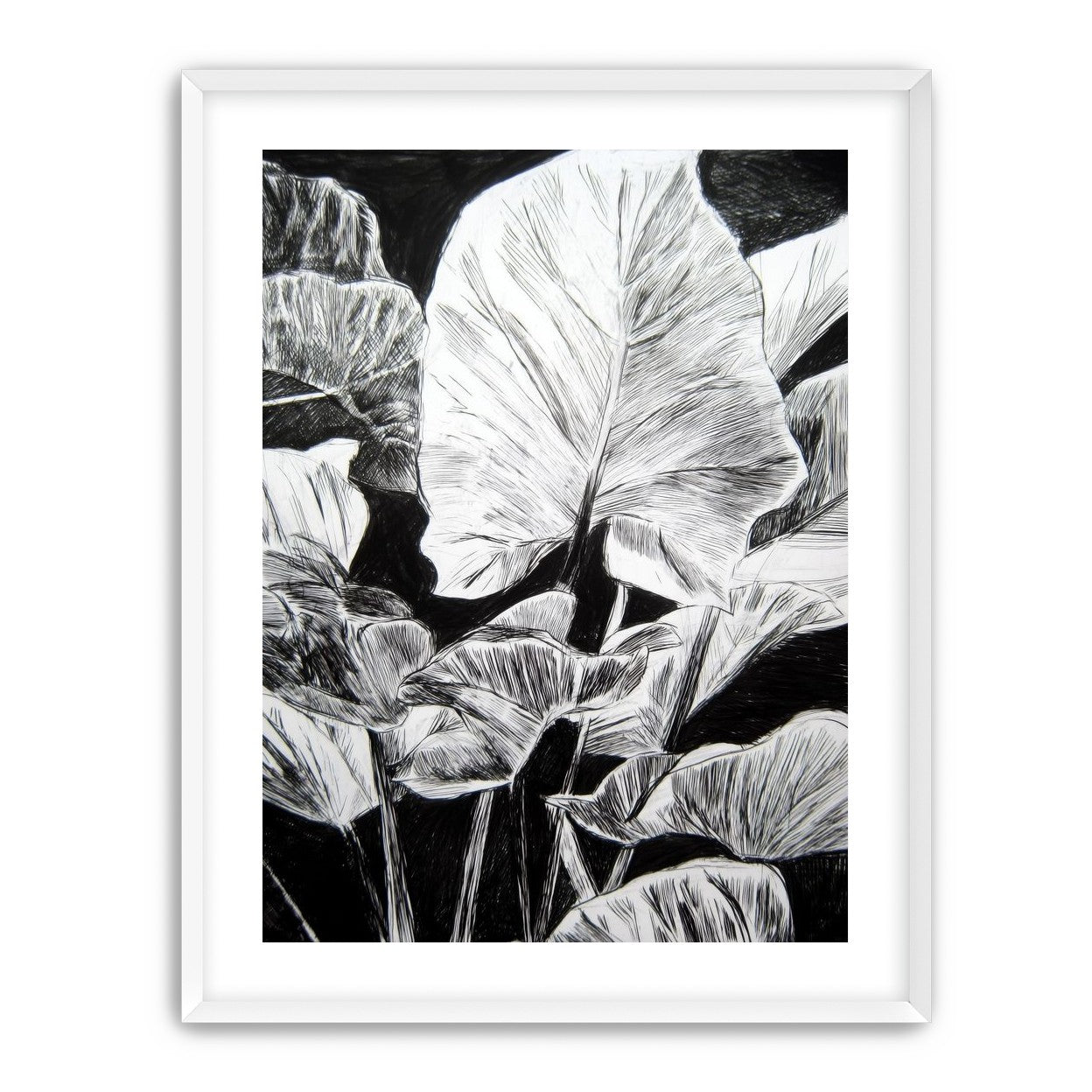 A Cluster of Leaves