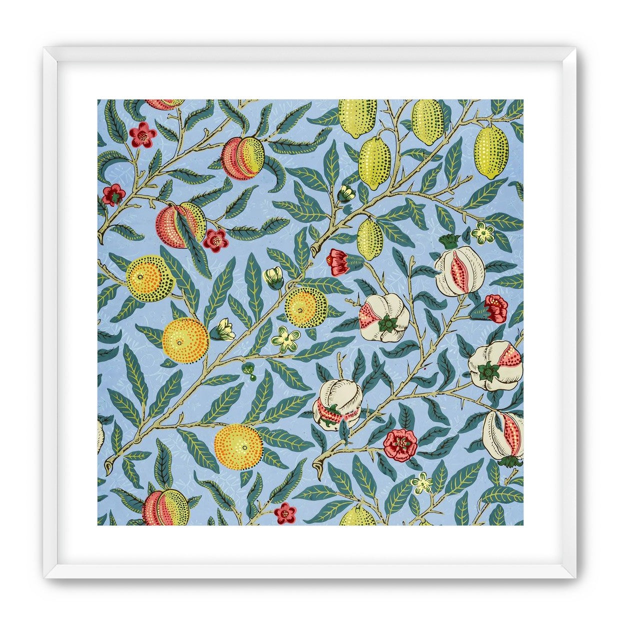 Fruits on the Vine