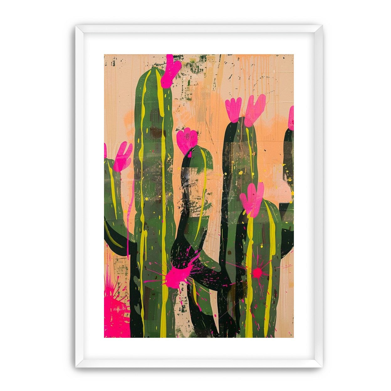Pink blooms on cacti