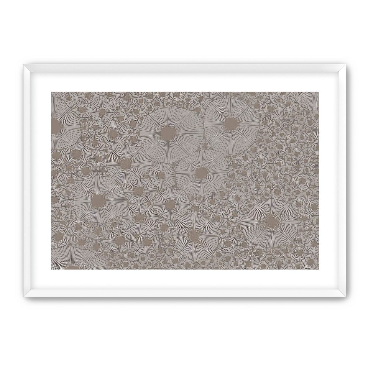 Bold Coral